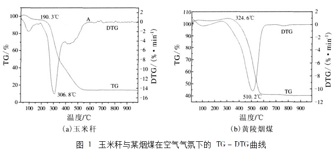 生物質與煤燃燒對比